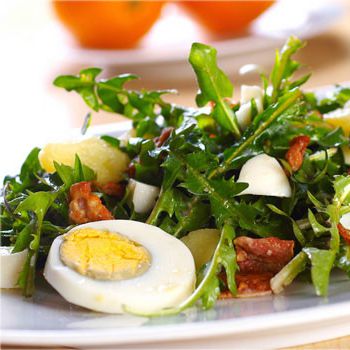 Dandelion Salad with sauerkraut