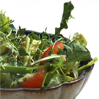 Dandelion Salad