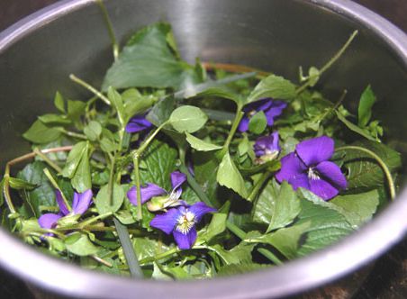 Salad of dandelion and nettle
