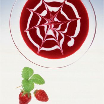 Web Delights