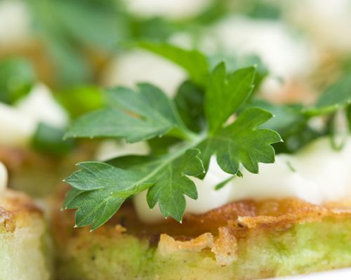Fritters of zucchini