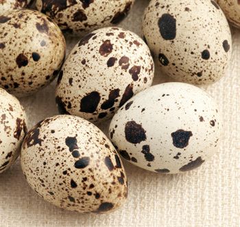 Mushrooms with quail eggs
