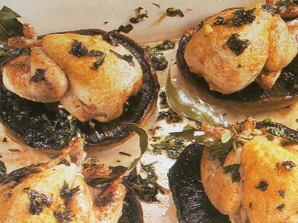 Mushroom quail nest.