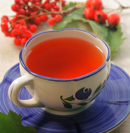 Green tea with wild rose