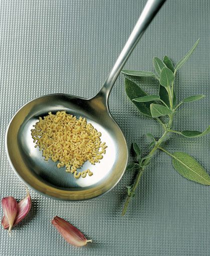 Provencal soup