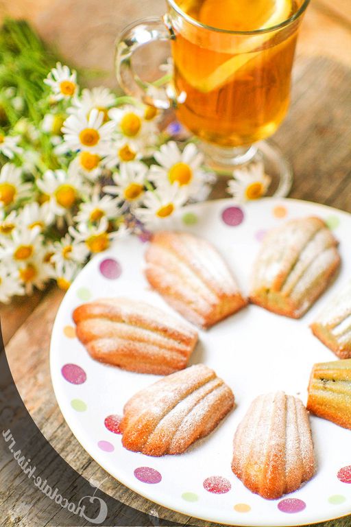 Vanilla biscuits madeleines