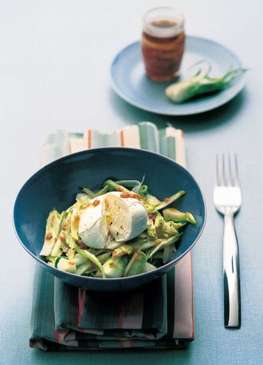 White chicory with mozzarella sauce under the fish