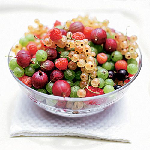 Morse berry (cranberry, cranberries, red currants, strawberries, strawberries, blueberries, raspberries)