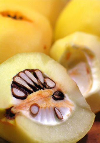Omelette with quince