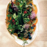 Salad of herbs, leaves and flowers with apricot chips Salad of herbs, leaves and flowers with apricot chips