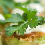Fritters of zucchini Fritters of zucchini