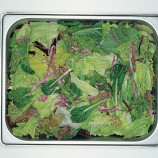 Salad of lettuce or rukolly Salad of lettuce or rukolly